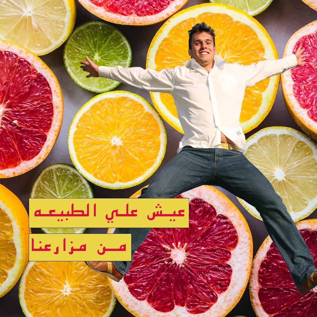 التسويق الالكتروني و السوشيال ميديا