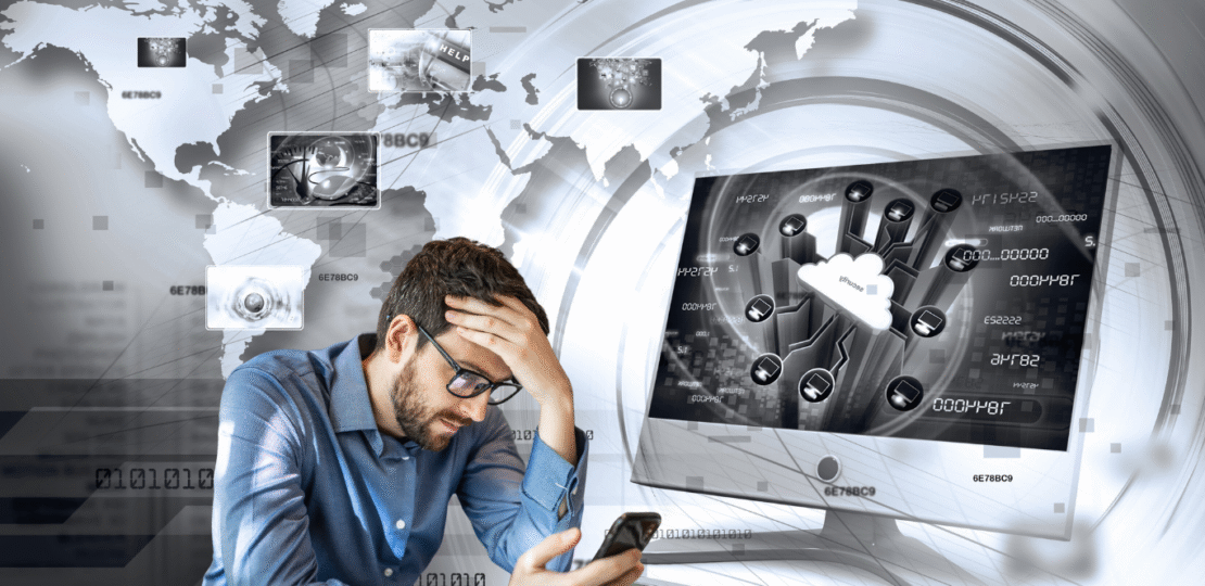 seo case studies for egyptian small businesses