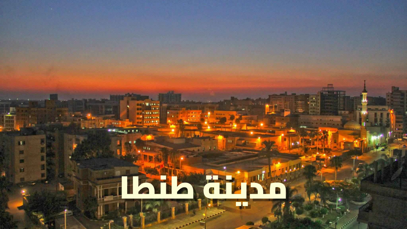 تحسين محركات البحث في طنطا