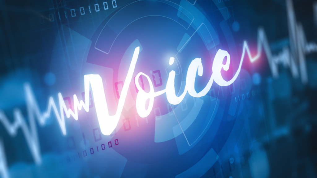 Challenges in Voice Commerce